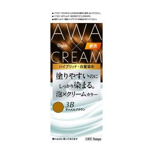 (送料無料・まとめ買い×27個セット)ホーユー ビゲン 泡クリームカラー 3B キャメルブラウン 白髪染め