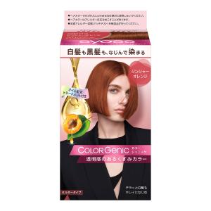 (送料無料・まとめ買い×36個セット)ヘンケルジ...の商品画像