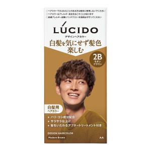 【送料無料・まとめ買い×36個セット】マンダム LUCIDO ルシード デザインヘアカラー 2B モダンブラウン 白髪用 ヘアカラー 男性用｜atlife