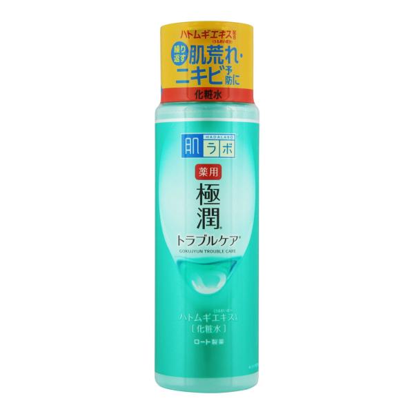 ロート製薬 肌ラボ 薬用 極潤 スキンコンディショナー 170ｍｌ×48点セット つめかえ用【まとめ...