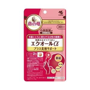 (送料無料・まとめ買い×42個セット)小林製薬 ...の商品画像