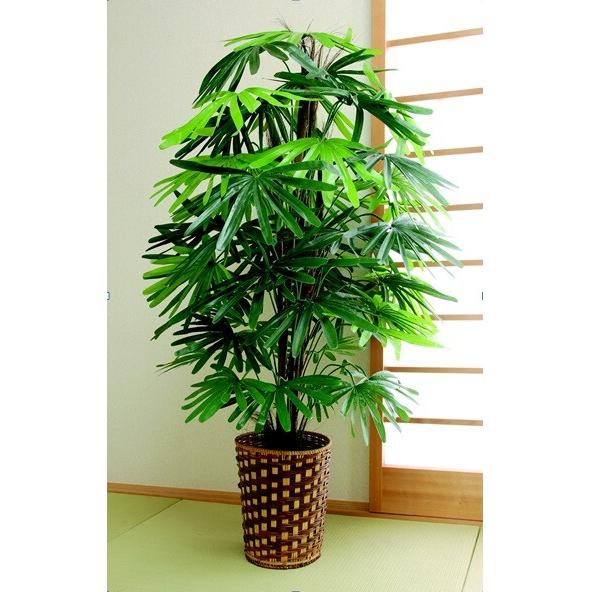 フェイクグリーン　人工観葉植物　観音竹（TAN-642） （インテリア 飾り 室内 屋内 オフィス ...