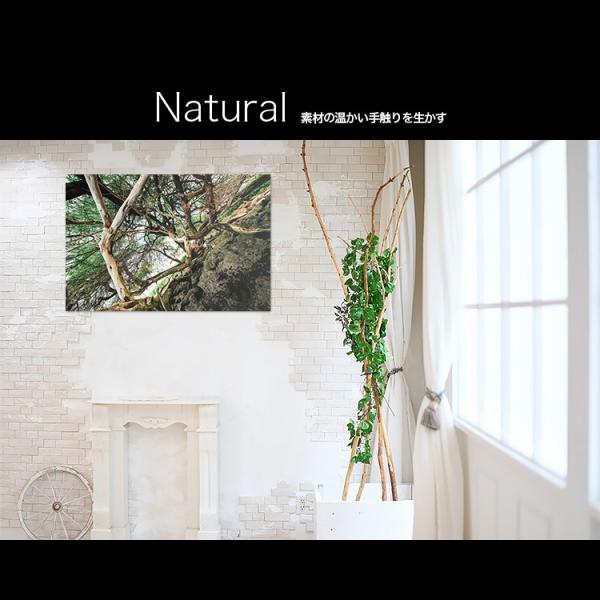 日本製 アートボード/アートパネル artmart アートマート 絵画 写真 アルミフレーム インテ...