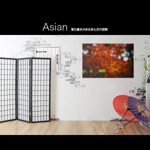 DAIKO（ダイコー） CSF-580W DAIKO シーリングファン LED リモコン付
