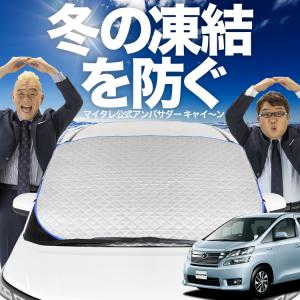新発売 アルファード 30系 ヴェルファイア フロント ガラス 凍結防止