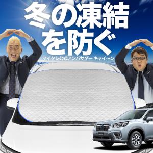 新発売 ノート E12系 e-POWER フロント ガラス 凍結防止 カバー シート