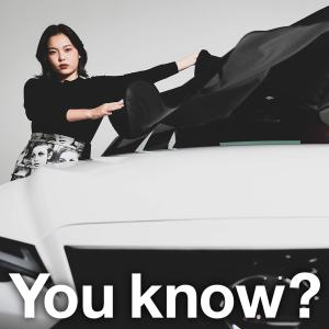 フロントガラスカバー 凍結 軽自動車用（車、バイク、自転車）の商品 