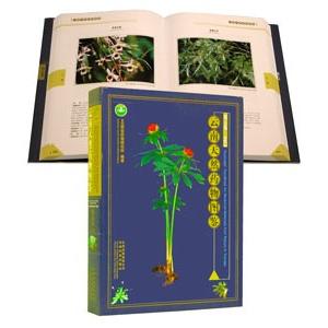 中国語簡体字] 老中医話説霊丹妙薬 : 亜東書店Yahoo!ショップ - 通販