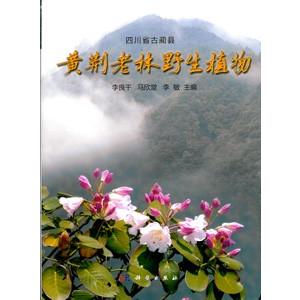 [中国語簡体字] 四川省古藺県黄荊老林野生植物｜ato-shoten