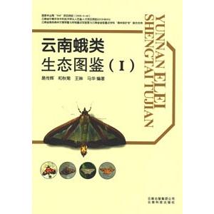 [中国語簡体字] 雲南蛾類生態図鑑１｜ato-shoten