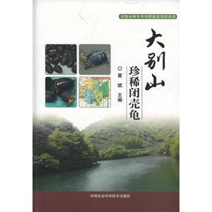 [中国語簡体字] 大別山珍稀閉殻亀｜ato-shoten