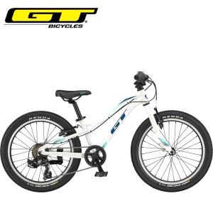 GT キッズ 子供 自転車 ストンパー エース 20 GT STOMPER ACE 20 V2 ホワイト 20インチ｜atomic-cycle