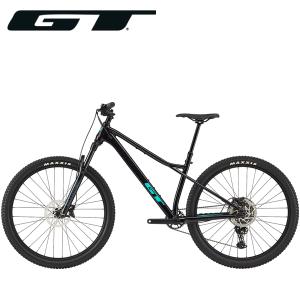 GT マウンテンバイク AVALANCHE EXPERT V2 29 （アバランチェ