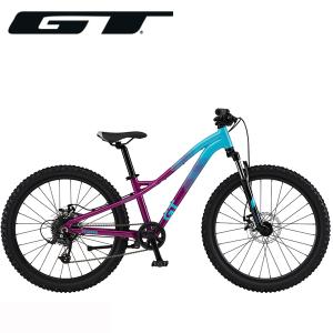 GT ストンパー HT エース 24インチ キッズ 子供用 ラズベリー マウンテンバイク｜atomic-cycle