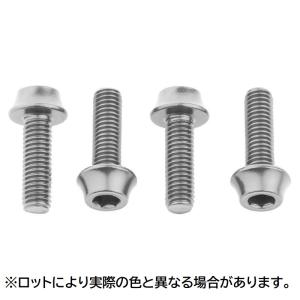 Wolf Tooth ウルフトゥース コンポーネンツ Wolf Tooth Water Bottle Cage Bolts Silver ボトルゲージ ボルト