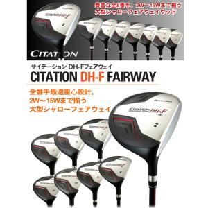 「送料無料」パワービルト ゴルフ サイテーショ...の詳細画像4