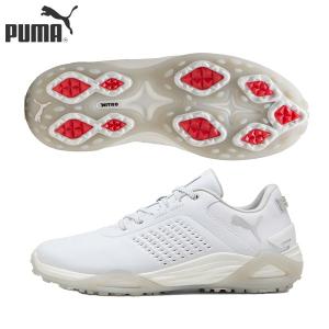 12日限定！最大5,000円引きクーポンの買取情報