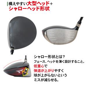 ブリヂストン ゴルフ ツアーステージ V562...の詳細画像5