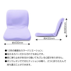 ピント ライトパープル PINTO LIGHT...の詳細画像1