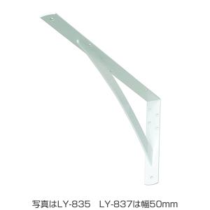 大建工業　カウンター用L型ブラケット特大 大建工業 カウンター用L型ブラケット 特大 Tシルバー 1本入