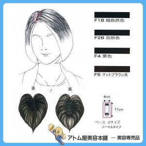 フォンテーヌ ウィッグ BPM01 女性 マニフィー ストレート 自然