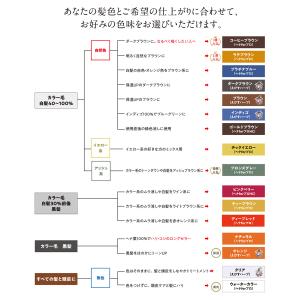 ジャパンヘナ ラテブラウン 500g 大袋(カ...の詳細画像4