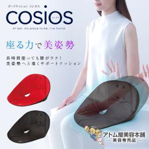 ボードクッション cosios（コシオス）クッション 骨盤矯正クッション 姿勢サポートクッション ボード型クッション 姿勢 腰 背筋
