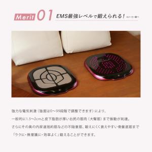 ピエラス ボディドクター フェムフィット Bo...の詳細画像5