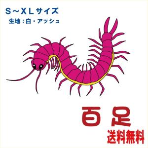 昆虫イラストtシャツ 百足 ピンクムカデ A Mu あとらす工房 通販 Yahoo ショッピング