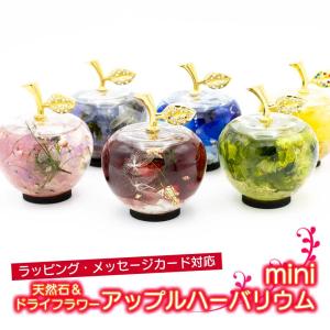 固まるハーバリウム COOL A*RT 3Dプレミアム 1.6L (A液800ml・B液