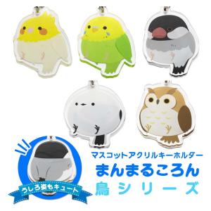 STPR ゆったりブルゾン ころん すとぷり ころん ころんくん ブルゾン ゆったりブルゾン 2022 春