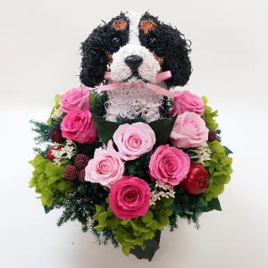 プリザーブドフラワーアレンジ犬 キャバリアトライ...の商品画像