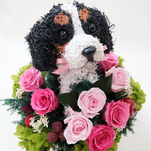 プリザーブドフラワーアレンジ犬 キャバリアトラ...の詳細画像1