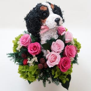 プリザーブドフラワーアレンジ犬 キャバリアトラ...の詳細画像2