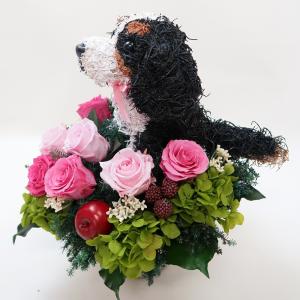 プリザーブドフラワーアレンジ犬 キャバリアトラ...の詳細画像5