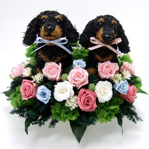 プリザーブドフラワー犬 ダックスロングトピアリーcute 結婚祝い 誕生