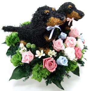 プリザーブドフラワーアレンジ犬 ダックス2匹の...の詳細画像1