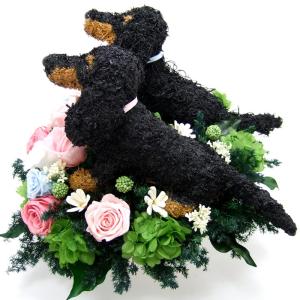 プリザーブドフラワーアレンジ犬 ダックス2匹の...の詳細画像2