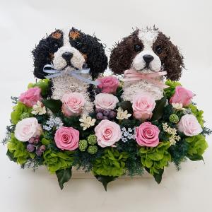 ウェルカムドッグ　キャバリアのプリザーブドフラワーアレンジ犬 結婚祝い ウエディング ギフト プレゼント