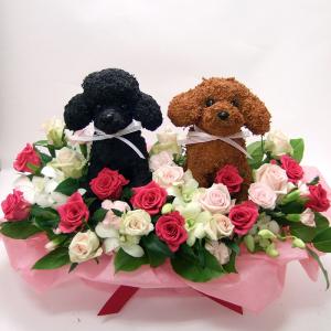 2匹のプードル トピアリー 豪華なフラワーアレンジ（生花） 結婚祝い 誕生日 ギフト プレゼント 開店祝い 動物病院開院祝い
