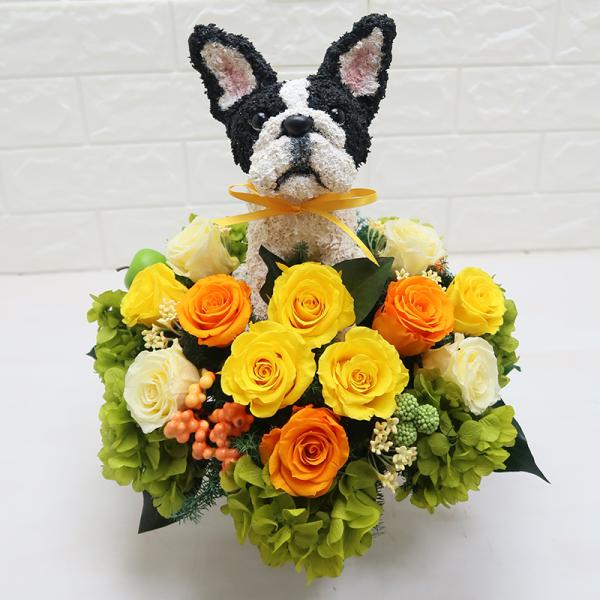 プリザーブドフラワーアレンジ犬 フレンチブルドッグ Beauty 結婚祝い 誕生日 ギフト プレゼン...