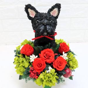 プリザーブドフラワー犬 トイプードル pretty 動物トピアリー 結婚祝い