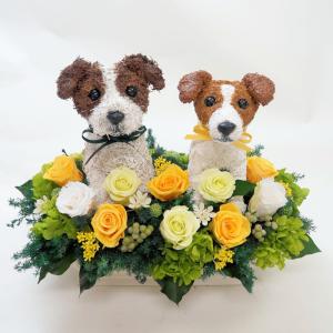 ウェルカムドール　プリザーブドフラワーアレンジ犬 ジャックラッセルテリア 結婚祝い ウエディング ギフト プレゼント