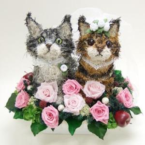 ウェルカムドール メインクーン プリザーブドフラワーアレンジ