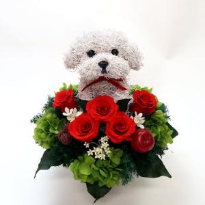 プリザーブドフラワー犬 トイプードル Beauty 結婚祝い 誕生日 ギフト