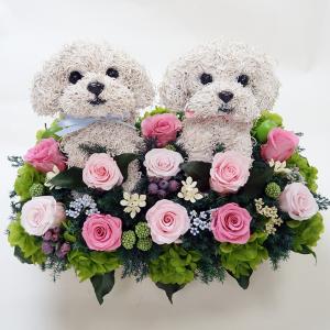 ウェルカムドール マルチーズ プリザーブドフラワー犬 アレンジP 結婚祝い ギフト プレゼント ウエディング