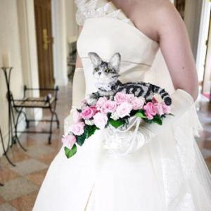 ブライダルブーケ プリザーブドフラワー ペット クレッシェントタイプ