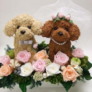 ウェルカムドッグ トイプードル ベールセット付きアレンジ 結婚祝い ウエディング ギフト プレゼント