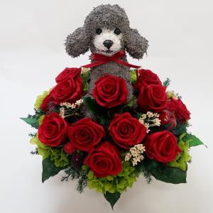 プリザーブドフラワー犬 トイプードル Beauty 結婚祝い 誕生日 ギフト