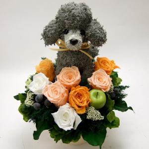 犬　トイプードル　プリザーブドフラワー プリザーブドフラワー犬 トイプードル cute 結婚祝い 誕生日 ギフト